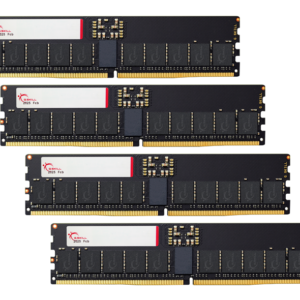 GSkill T5 Neo 256GB (64GBx4) DDR5 ECC RDIMM 6400 Mhz CL36 Ram F5-6400R3644E64GQ4-T5N