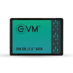 EVM 256GB INTERNAL SATA SSD EVM25/256GB