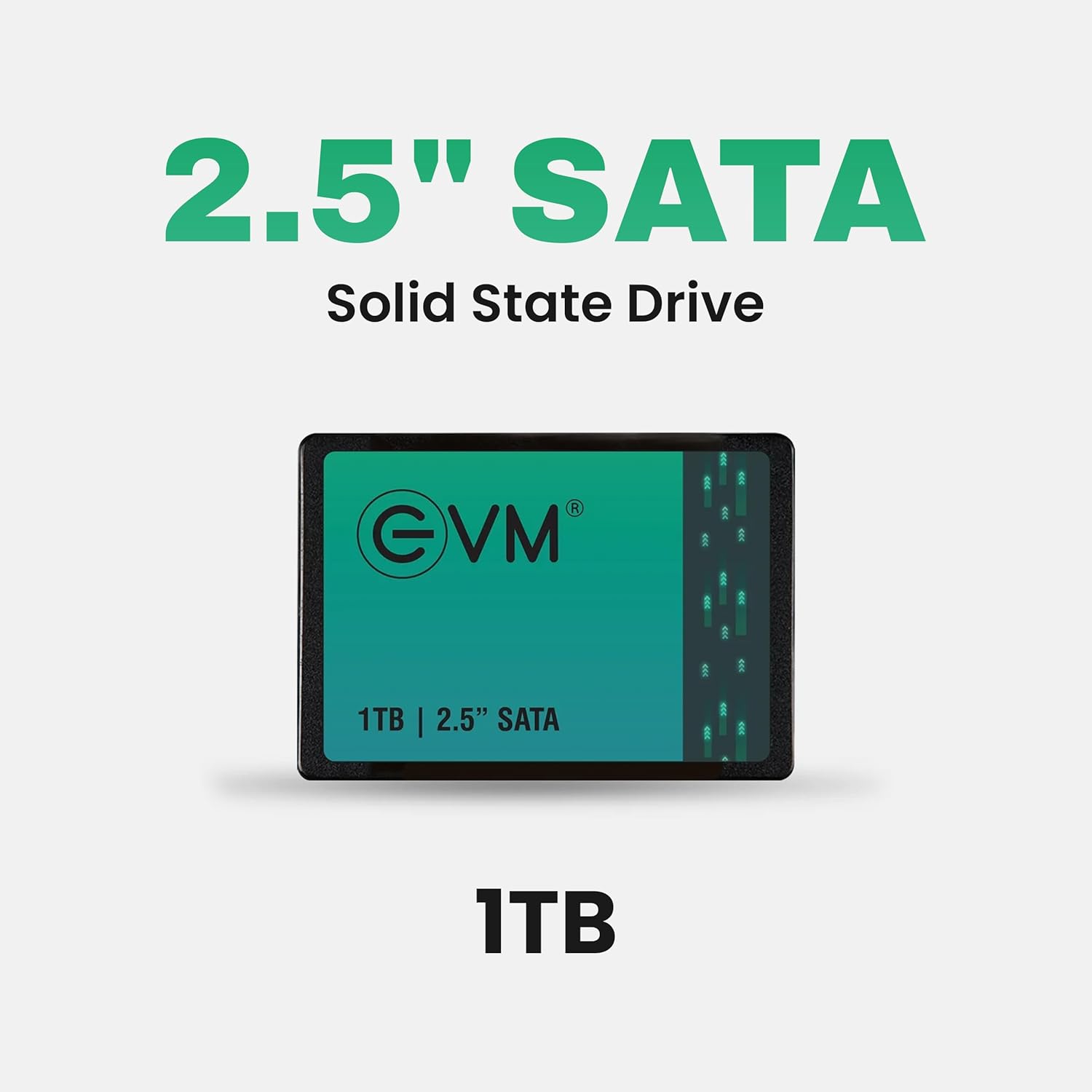 EVM 1TB INTERNAL SATA SSD EVM25/1TB - Image 2