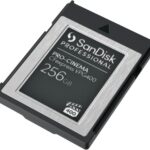 SANDISK PROFESSIONAL 256GB PRO,SDPCVN4-256G-GNANN