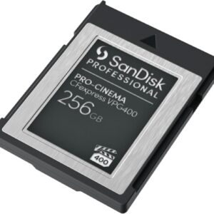 SANDISK PROFESSIONAL 256GB PRO,SDPCVN4-256G-GNANN