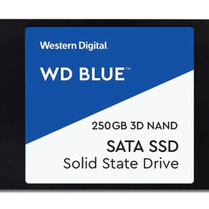 WESTERN DIGITAL 250GB BLUE INTERNAL SATA SSD